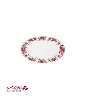 دیس بیضی 24 سانتیمتری آران