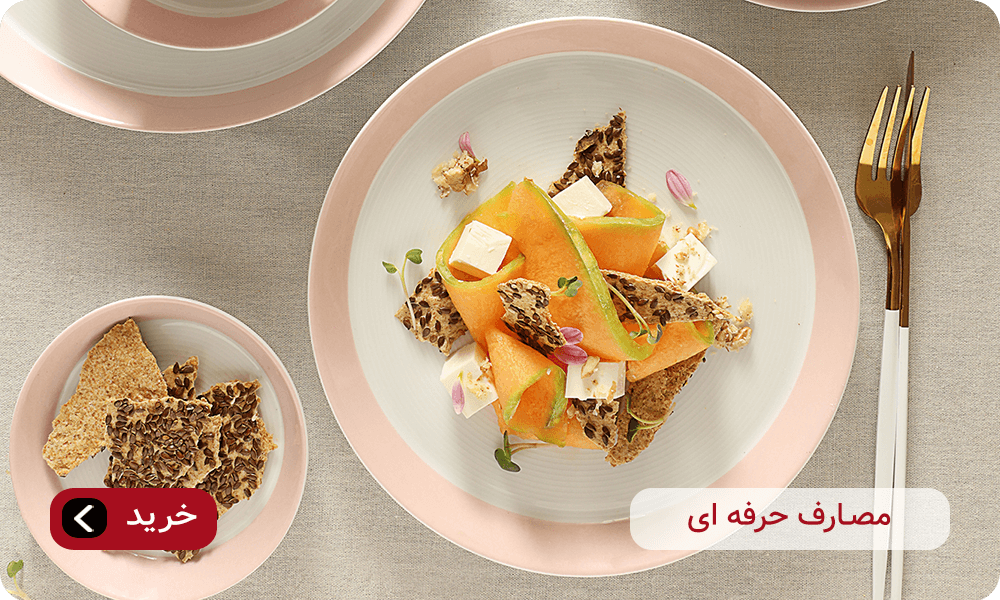 ظروف مصارف حرفه ای